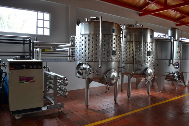 cave-ISOLA-min_wine_production_cantine_winery_drink_alcohol_vine_beverage-902036